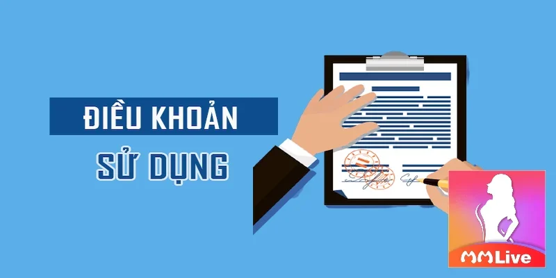 cac-hinh-thuc-vi-pham-voi-hinh-phat-dieu-khoan-ve-su-dung