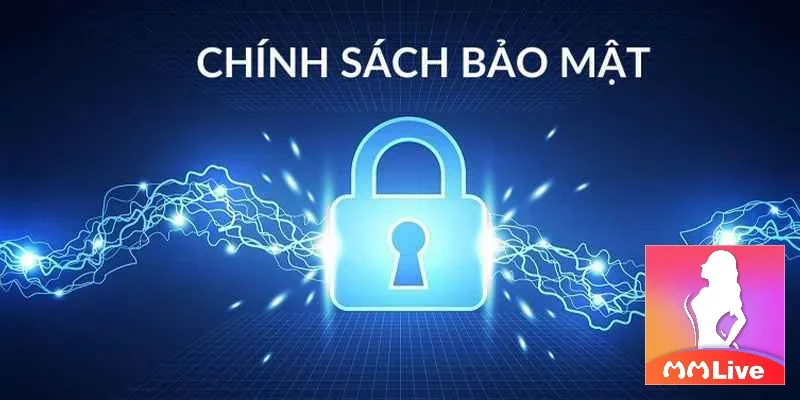 tong-hop-cac-chinh-sach-bao-mat-mmlive-quan-trong